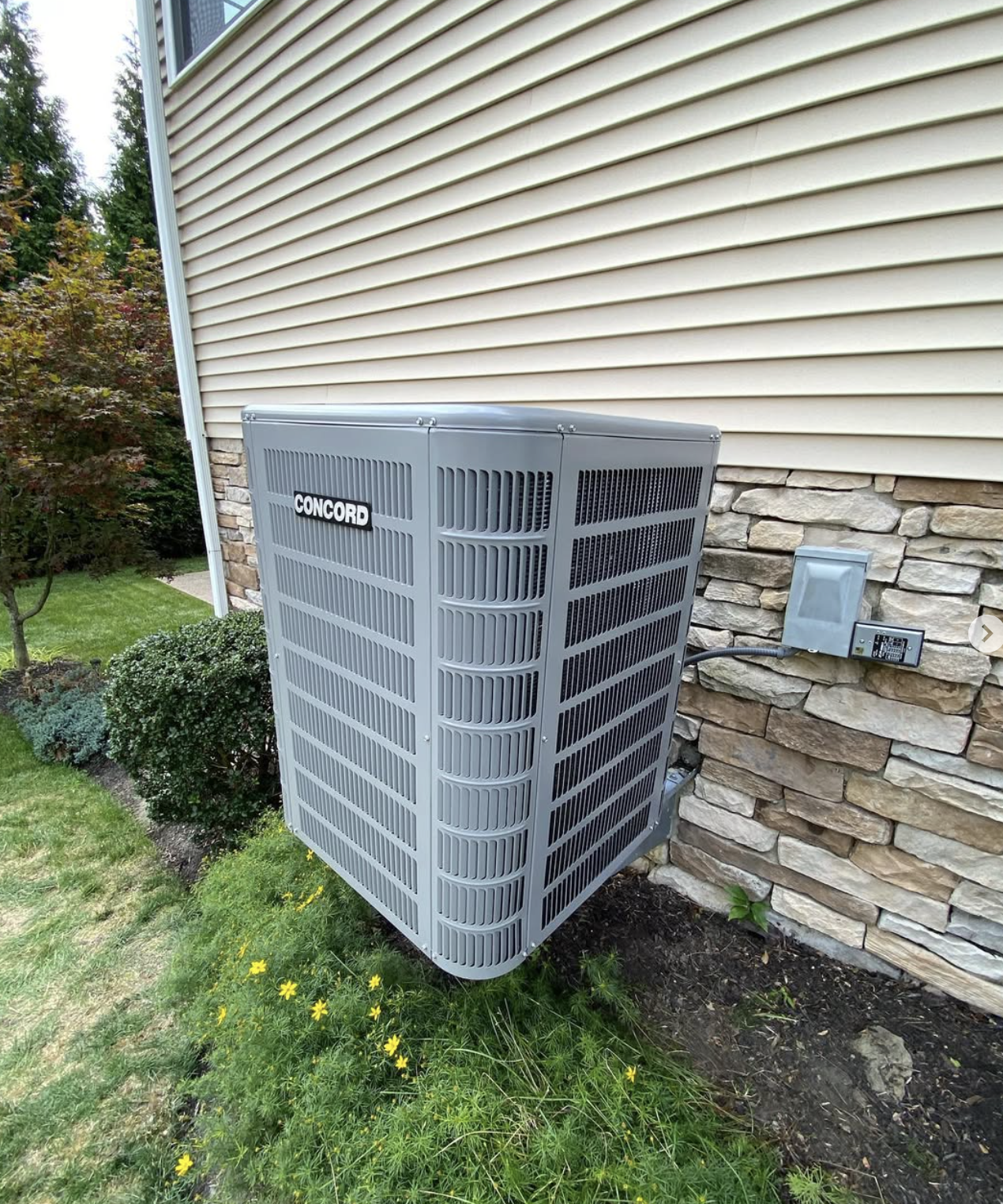 Boiler and water heater system with copper piping